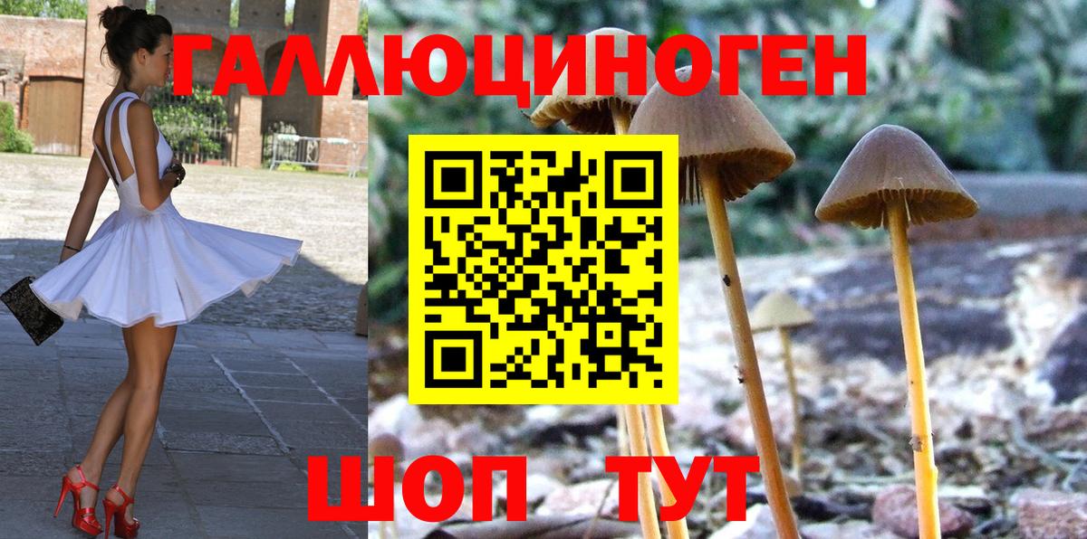 Галлюциногенные грибы Psilocybine cubensis  Псилоцибиновые грибы MAGIC MUSHROOMS  Вход с VPN  Прохладный 